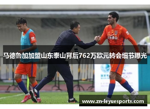马德鲁加加盟山东泰山背后762万欧元转会细节曝光